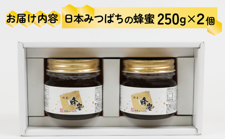 日本みつばち の 蜜 2個 セット 非加熱 宇和島農産 蜂蜜 はちみつ 人気 蜂蜜 はちみつ 無添加 蜂蜜 はちみつ 国産はちみつ 国産蜂蜜 蜂蜜 はちみつ 日本蜜蜂 蜂蜜 はちみつ ニホンミツバチ 