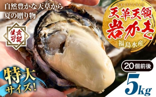 天領岩牡蠣 約5kg 福島水産《2026年4月上旬-7月末頃出荷予定》熊本県 苓北町 牡蠣 かき カキ 岩カキ 岩ガキ 貝 BIG ビッグ 生食 特大 バーベキュー 夏天草 天領 苓北 熊本 旬 シーズン 送料無料【配送不可地域あり】