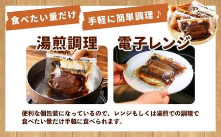 こだわり4種ハンバーグ 各約150g×1 計4個セット 計約600g ハンバーグ ソースハンバーグ 肉 にく お肉 ソース トマト ホワイトソース ペッパー ブラウンシチュー 冷凍