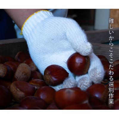ふるさと納税 つくばみらい市 庄七農園限定　氷蔵熟成焼き和栗 (500g) |  | 02