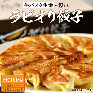 【ふるさと納税】生パスタ生地で包んだ正統派の餃子 15個入り×2ケース(計30個)_M86-0002