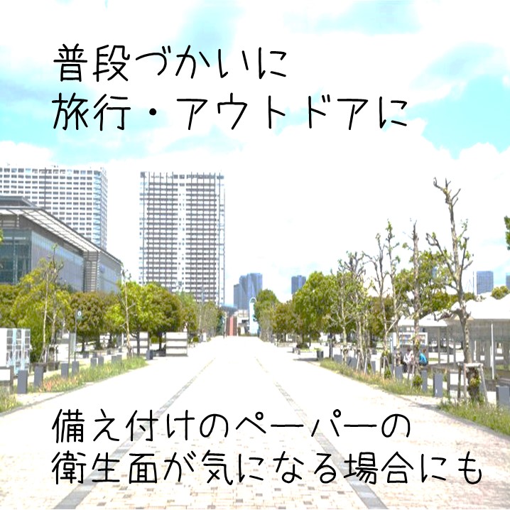 水に流せるポケットティッシュ１６個入り×３０パック　計４８０個）【配送不可地域：沖縄本島・離島】（1975）