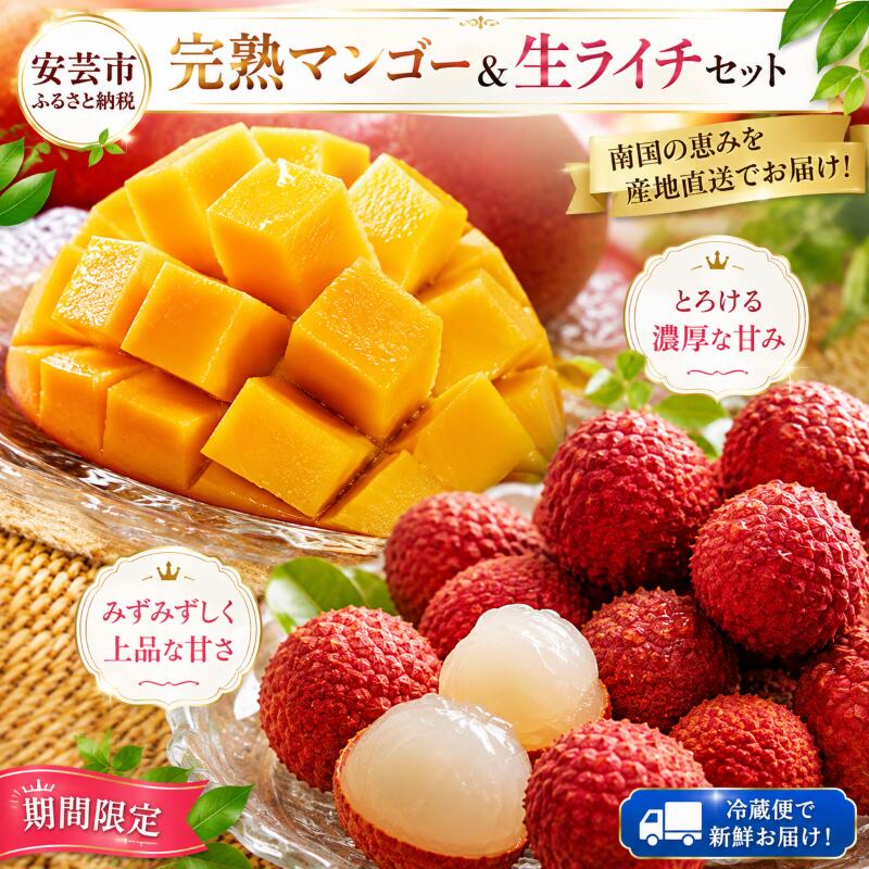 【ふるさと納税】 完熟マンゴー 生ライチ セット フルーツ 果物 くだもの 季節限定 期間限定 数量限定 旬 限定 国産 贈答 ギフト 贈り物 プレゼント デザート スイーツ アレンジ プリン ケーキ スムージー 国産 メリーガーデン お取り寄せ おすすめ ギフト 高知県安芸市
