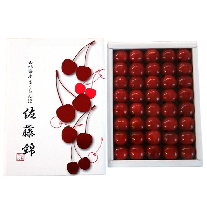 【ふるさと納税】【期間限定発送】 さくらんぼ 置賜産 佐藤錦 特秀 L〜3L 500g 化粧箱入り [tk06ays870012 山形県 高畠町 JA山形おきたま] サクランボ チェリー 山形 果物 フルーツ くだもの