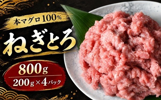 
                  ネギトロ 本マグロ100% 800g ( 200g×4パック )  ( ねぎとろ ネギトロ まぐろ マグロ 鮪 タタキ マグロタタキ ねぎとろ丼 小分け 冷凍 国産まぐろ たたき まぐろネギトロ 国産マグロねぎとろ ネギトロ 三重県 松阪市 )【1-339】
                