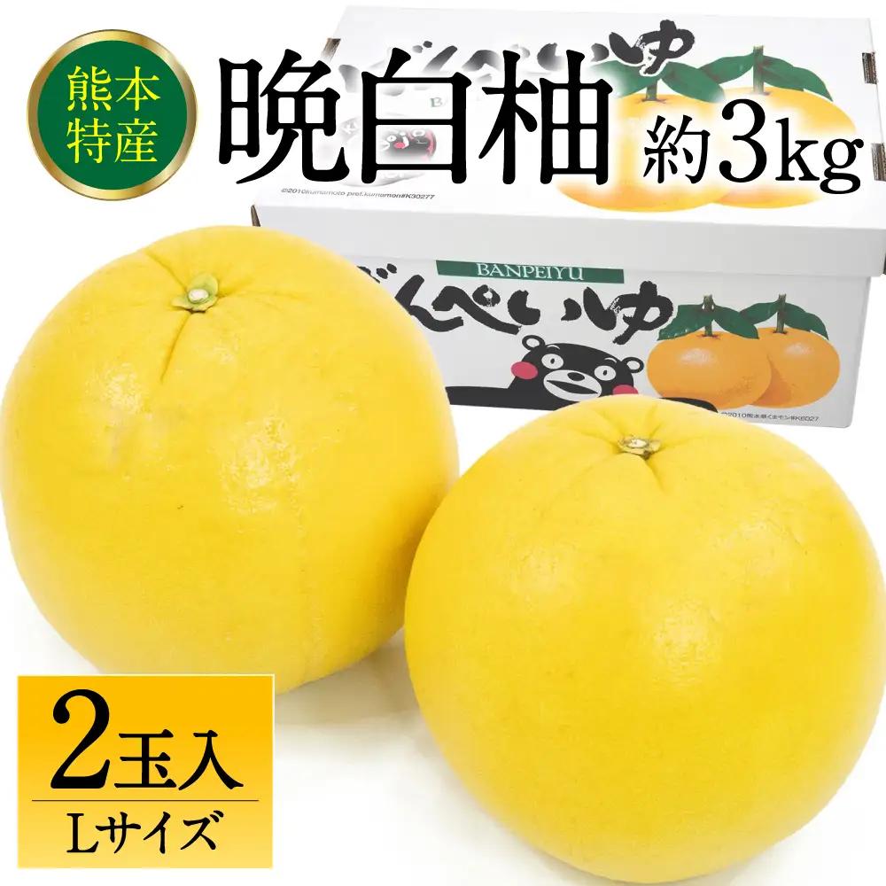 【先行予約】晩白柚 ばんぺいゆ Lサイズ 2玉 約3kg 晩白柚 柑橘 【2026年12月上旬より順次発送】