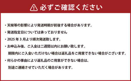 熊本フルーツ定期便3回（3月.4月.5月）【2025年3月上旬～5月下旬発送予定】 フルーツ 果物 メロン すいか 不知火 ギフト 贈答 定期便 定期 熊本産