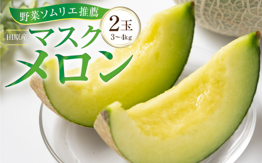 先行予約 数量限定 野菜ソムリエ 推薦 渥美半島伊良湖潮風育ち マスクメロン 2玉 2L～3L サイズ(3～4キロ) 箱入り　 田原市 伊良湖産 ギフト プレゼント お取り寄せ 渥美半島 農家直送 送料無料 12000円 一万円