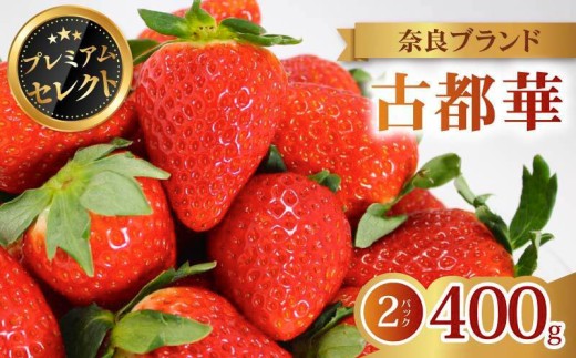 いちご 古都華 プレミアム セレクト 2027年 発送（400g×2パック） 贈与用 予約受付中 数量限定 早期終了 予定あり いちご イチゴ 先行予約 いちご 苺 奈良ブランド苺 イチゴ ブランド 古都華 大粒 苺 旬 産地 直送 フレッシュ 新鮮  フルーツ 果物 くだもの  萩原いちご農園 奈良県 奈良市 hgi04