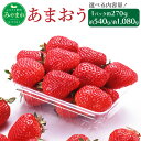 【ふるさと納税】 ＜選べる容量＞ あまおう 約270g×2パック または 4パック 計約540g または 約1,080g イチゴ いちご 苺 果物 くだもの フルーツ 福岡県産 九州 予約 送料無料 【2025年1月下旬～3月上旬発送予定】