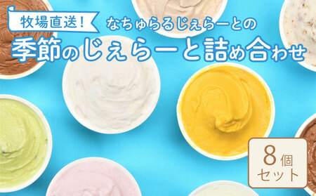 アイス ジェラート 8個 てづくり ミルクアイス チョコアイス アイスセット アイスクリーム  ジェラートアイス 牧場のアイス F04_01
