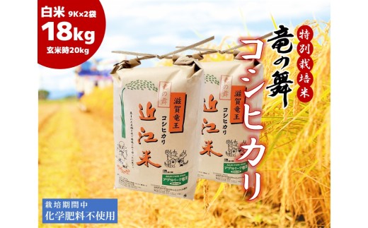 こしひかり 白米 18kg （9kg × 2袋入)  2025年産 竜の舞 化学肥料不使用 特別栽培米 玄米 時容量 10kg × 2袋 国産 安心 安全 近江米 米 お米 白米 お弁当 玄米 産地直送 滋賀県 竜王町 送料無料