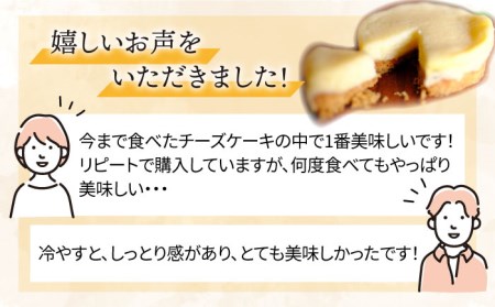 【全12回定期便】無添加チーズの櫻井チーズケーキ【5個入り】糸島市 /  糸島手作り工房 爽風 [ATA007]
