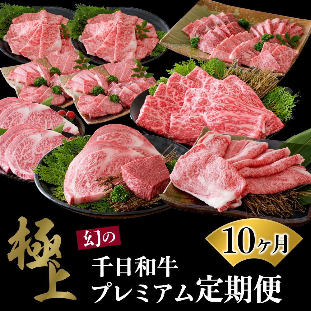 【数量限定】★肉の至宝★ 幻の山形牛【千日和牛】旨味とろける極上和牛10ヶ月定期便