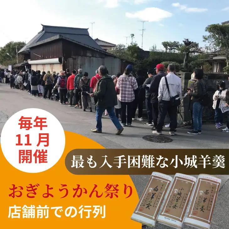 小城羊羹 3本入り  羊羹 和菓子 岡本為吉本舗 B120-082