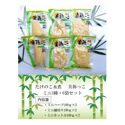 ふるさと納税 美祢市 たけのこの水煮　美祢っこ(ミニ3種・6個セット) |  | 01