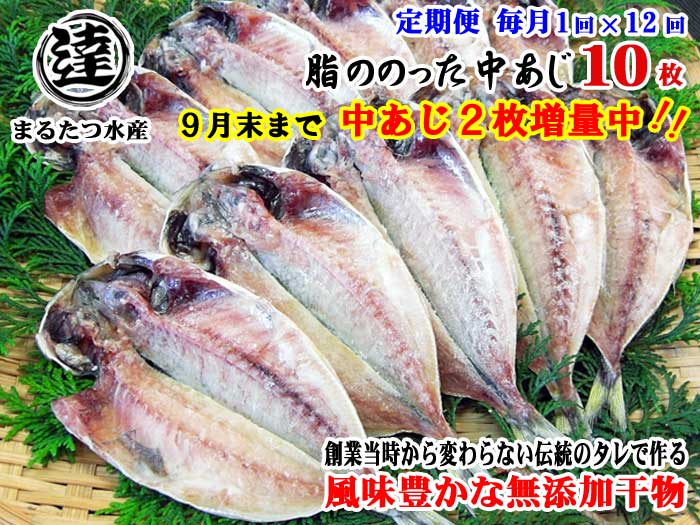 W12【ふるさと納税】【定期便 全12回】創業32年 自社工場 製造直売 完全無添加 伊豆・丸達 脂ののった中あじ ひもの10枚+2枚 合計12枚セット 9月末まで増量中 毎月1回×12回