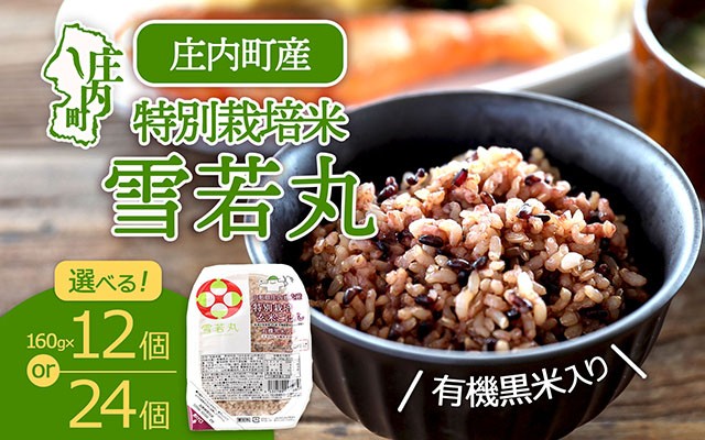 
                  雪若丸 特別栽培玄米 パックごはん 160g×12個 or 24個 選べる内容量 有機黒米入 健康 ダイエット 備蓄 保存食 防災 簡単レンジ 温めるだけ 湯煎調理 レトルト ごはん ライス 玄米
                