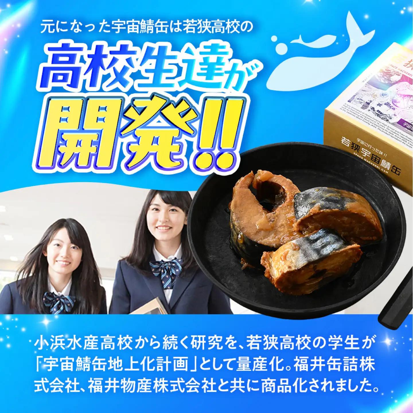 若狭宇宙鯖缶＆強健サバ缶アマニ油入り 食べ比べ48缶セット / サバ缶 鯖缶 宇宙日本食 アマニ油 オメガ3 保存食 小浜市 / 福井缶詰[BFAB084]
