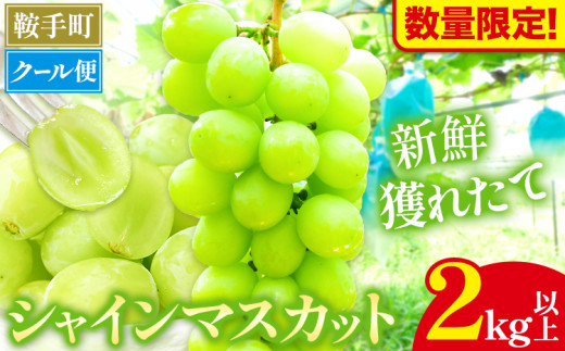 【数量限定】【先行予約】シャインマスカット 2kg以上 3房以上 先行予約 数量限定 《8月中旬-9月中旬頃出荷》 シャインマスカット マスカット 果物 フルーツ
