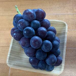 内海ぶどう園の　巨峰1kg【配送不可地域：離島】【1609943】