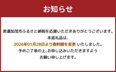 飛騨牛入り ハンバーグ 5個 セット | 丸坂山田農園 飛騨牛 牛肉 肉 お肉 手作り 惣菜