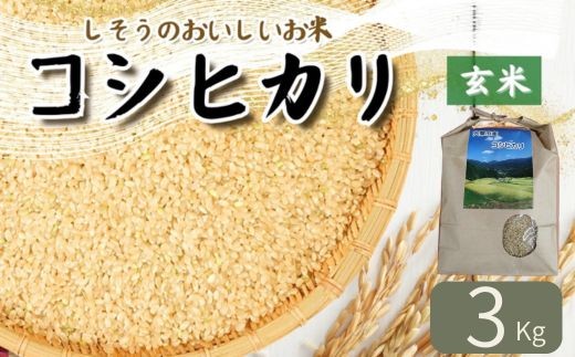 
                  K9【令和7年産】しそうの おいしい お米　コシヒカリ 玄米 3Kg　【 こしひかり 玄米 兵庫県産 宍粟市産 3Kg 少量 】
                