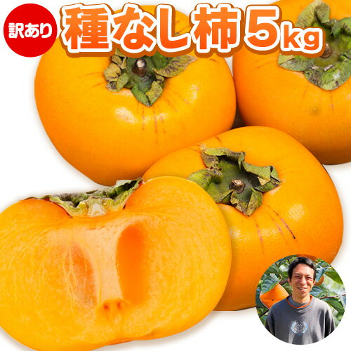 【ふるさと納税】【先行予約】【訳あり】まーくん家のたねなし柿 5kg 《2025年9月下旬-10月末頃出荷》 かき 種なし きただ農園まーくん家 和歌山県 紀の川市 ご家庭用
