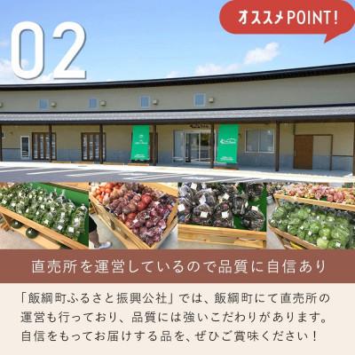 ふるさと納税 飯綱町 梅シロップ・完熟梅シロップ セット　1000ml×各1本 |  | 02