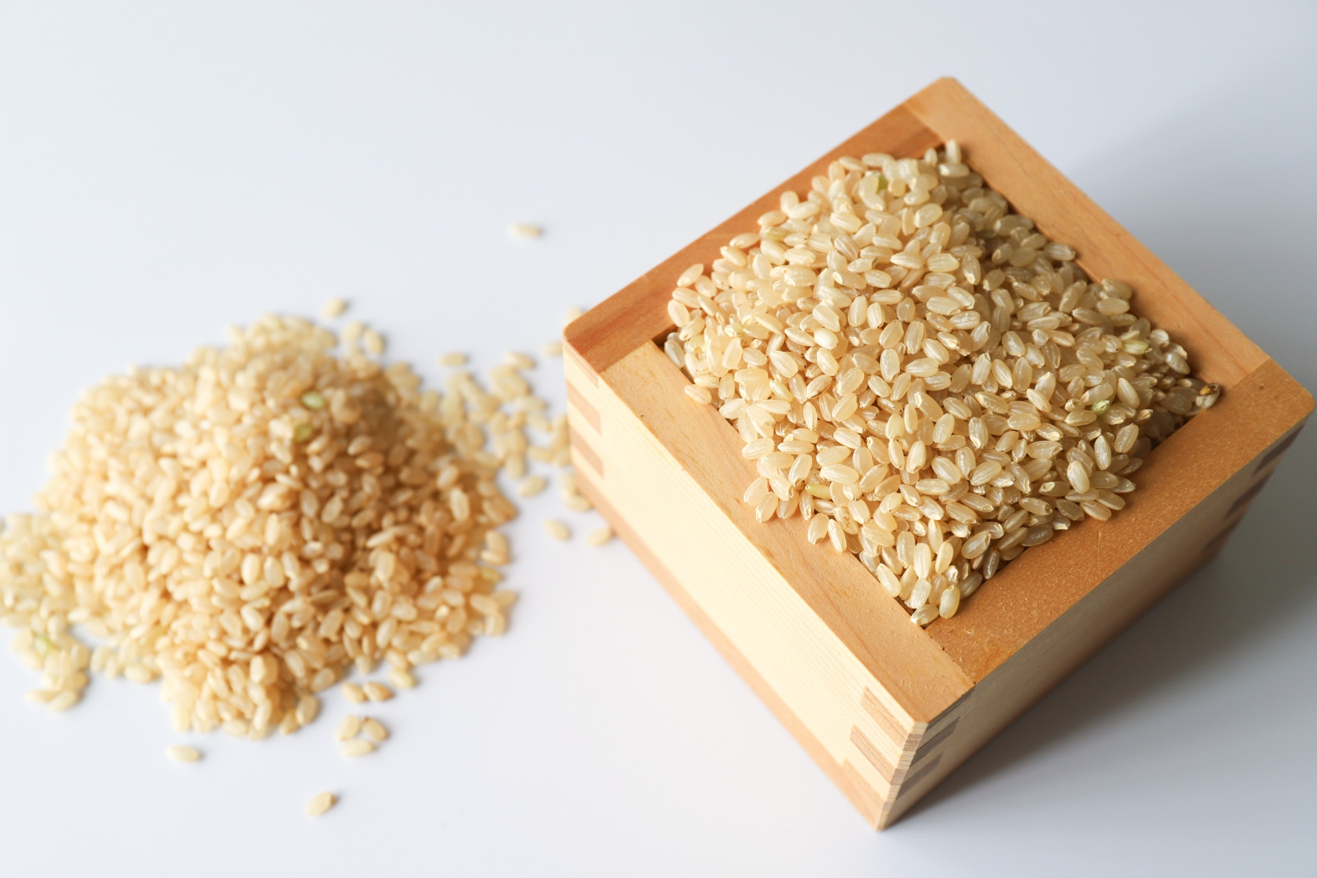 
            【期間限定】 ひとめぼれ 玄米 10kg（茨城県共通返礼品） お米 精米 玄米 白米 ごはん ご飯 単一原料米 茨城県産 美容 健康 69-I
          