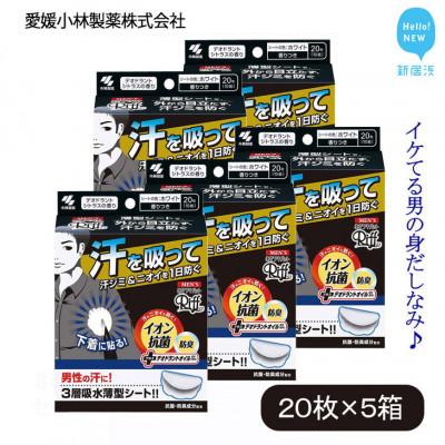 ふるさと納税 新居浜市 小林製薬のメンズRiff あせワキパットホワイト1箱20枚入り×5箱 男性の汗に