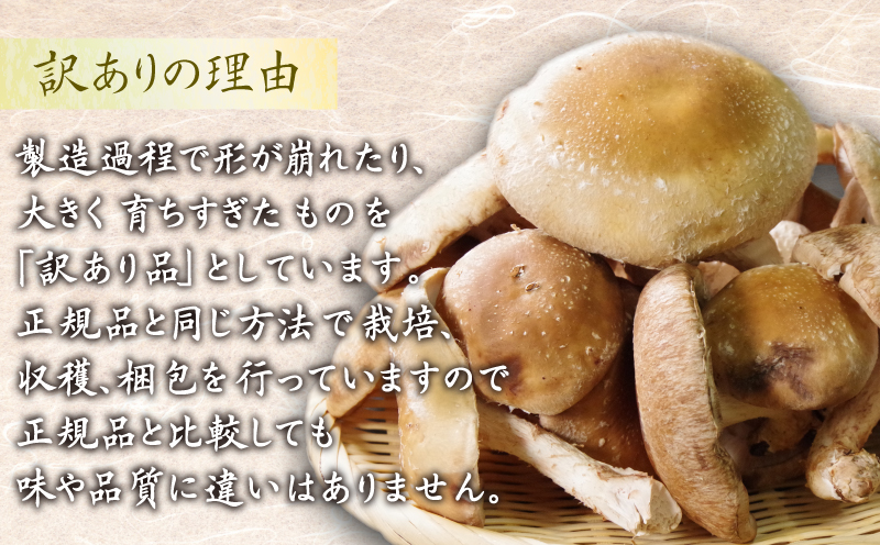 訳あり しいたけ 3kg 冷蔵 国産 徳島県 全国生産量1位 シイタケ 椎茸 生しいたけ きのこ キノコ 菌床栽培 大粒 肉厚