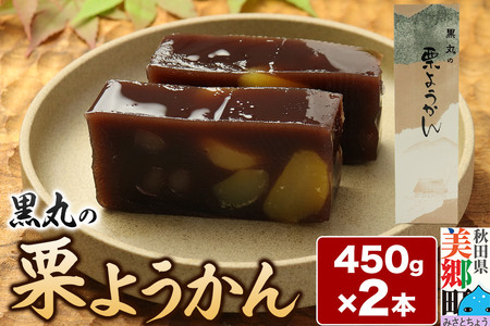 栗ようかん 2本（450g×2本） ＜ゆうパケット＞