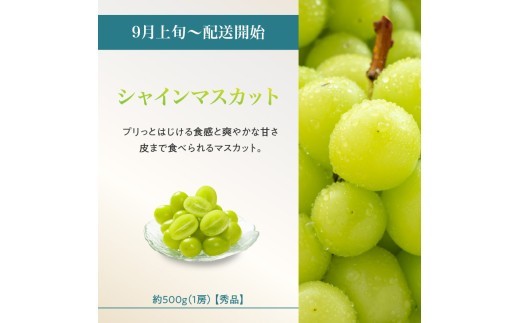≪先行受付≫ 山形からおすすめフルーツ定期便【定期便全4回】