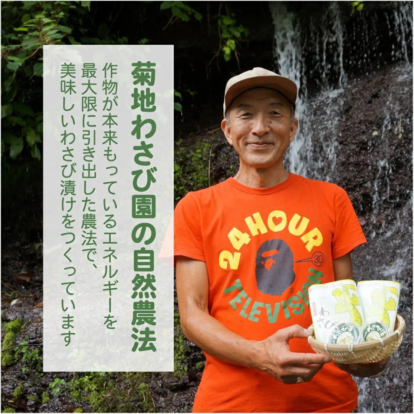 こだわり無農薬わさびセット わさび　ワサビ　山葵