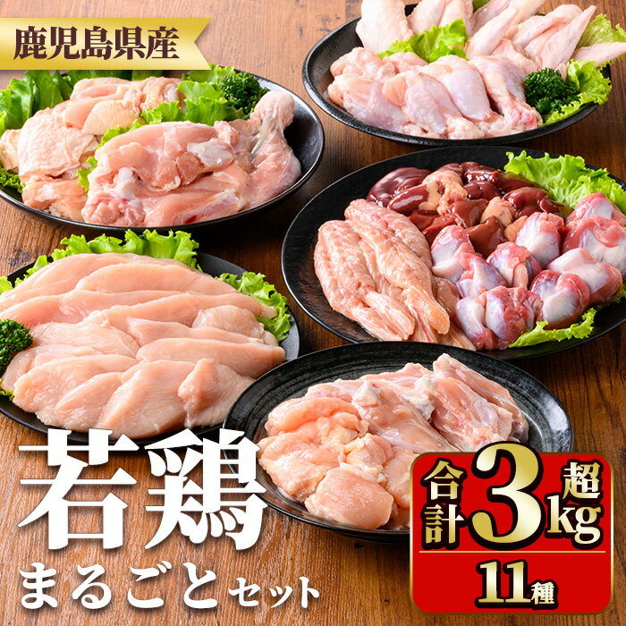【ふるさと納税】鹿児島県産若鶏まるごとセット(合計3.05kg) 国産 鶏肉 鳥肉 肉 若鶏 お肉 もも肉 モモ肉 むね肉 ムネ肉 胸肉 ささみ ササミ 筋なし 砂肝 肝 手羽先 キチンリブ 手羽元 肩肉 小肉 骨付きモモ セット 詰め合わせ 小分け 冷凍 真空パック 食べ比べ【TRINITY】