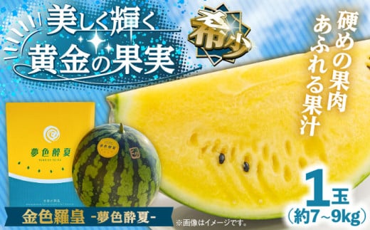 【先行予約・26年6月以降発送】夢色酔夏（金色羅皇）1玉 7~9kg 日田市 / JAおおいた　すいか スイカ 西瓜 黄色いすいか くだもの 果物 糖度【配送不可地域：北海道・沖縄・離島】 [AREW003]