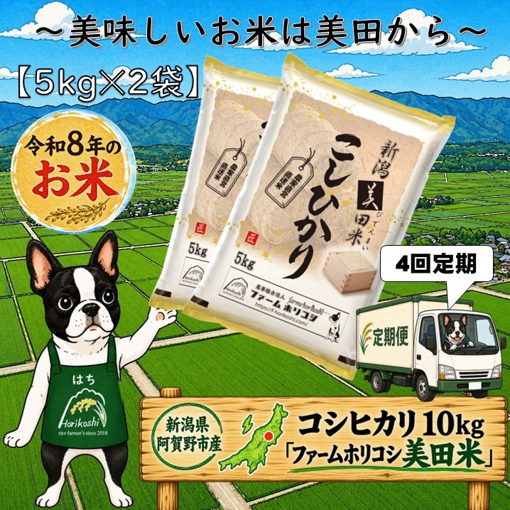
                  【令和8年産新米】【4ヶ月定期便】阿賀野市産 コシヒカリ 「ファームホリコシ美田米」 10kg（5kg×2袋）×4回  白米 精米 新潟県 米 こめ コメ 10月上旬頃より発送開始予定 3H09089
                