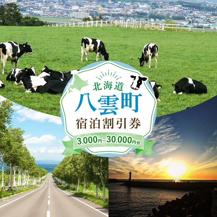 【ふるさと納税】【枚数選択可能】北海道八雲町　宿泊割引券3,000円分 1枚〜10枚