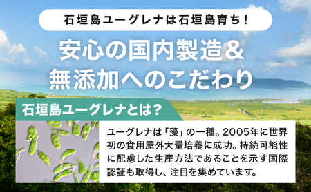 【定期便】《6ヶ月》からだにユーグレナ グリーンタブレット乳酸菌 YG-5-t06