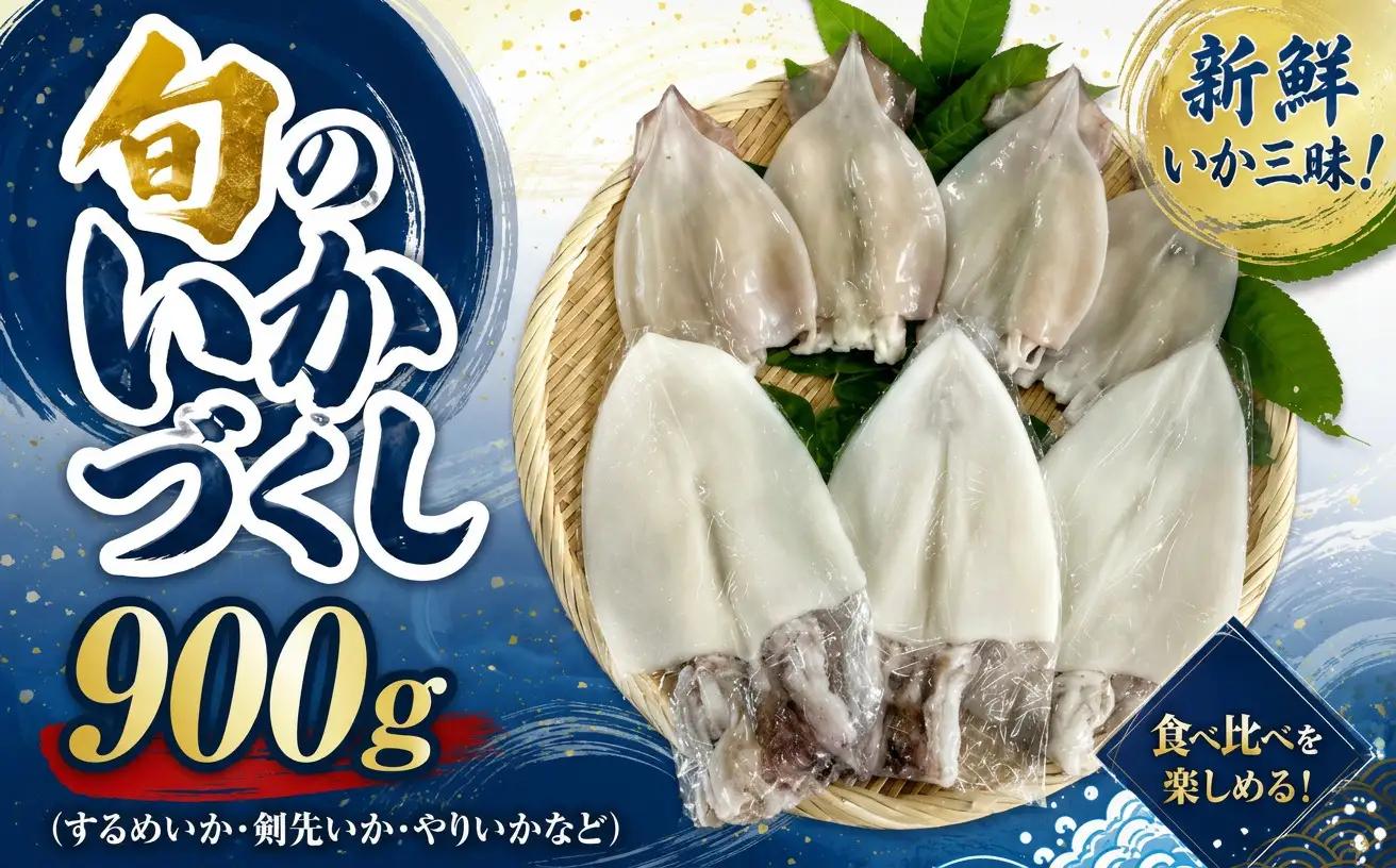 旬のいかづくし（するめいか、剣先いか（白いか）、やりいか、など） 【033_1791】
