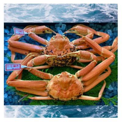 ふるさと納税 若桜町 【蒸し】タグ付き松葉ガニ　大　2枚(1枚800〜940g前後)