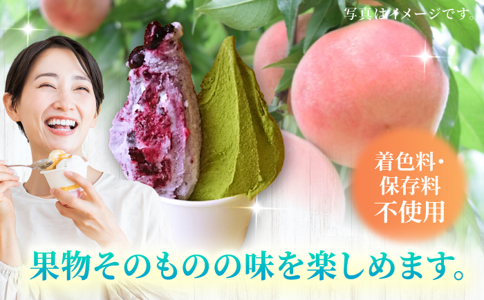 【4回定期便】果樹園が作る 素材の味を楽しめる 旬のジェラート 120ml×6個セット【ソルベッチdoうきは】着色料不使用 ノンホモ牛乳使用 ジェラート アイス 旬 スイーツ 詰め合わせ セット シャ