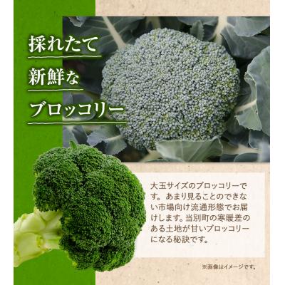 ふるさと納税 当別町 【2026年先行受付】氷詰めブロッコリー縦置き12玉　北海道 |  | 02