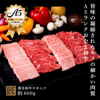 
おやま和牛 A5 極 ヤキニク 約600g【1096936】
