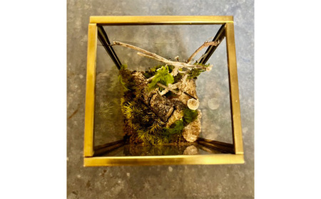 No.355 風景　苔プリザ