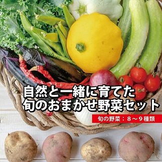 【自然栽培】『まえむき。』の、自然と一緒に育てた旬のおまかせ野菜セット8から9種類