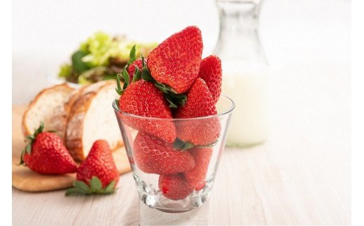 【数量限定】名産地伊豆のきらぴ香・紅ほっぺ食べ比べセット（約400g×4パック）