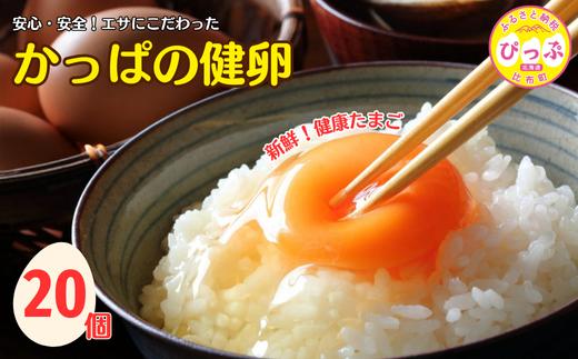 
                  かっぱの健卵 20個入り【大熊養鶏場】たまご 卵 玉子 タマゴ 生卵 こだわり 卵かけご飯 TKG 国産 お取り寄せ 北海道 比布町 ぴっぷ 1006-002
                