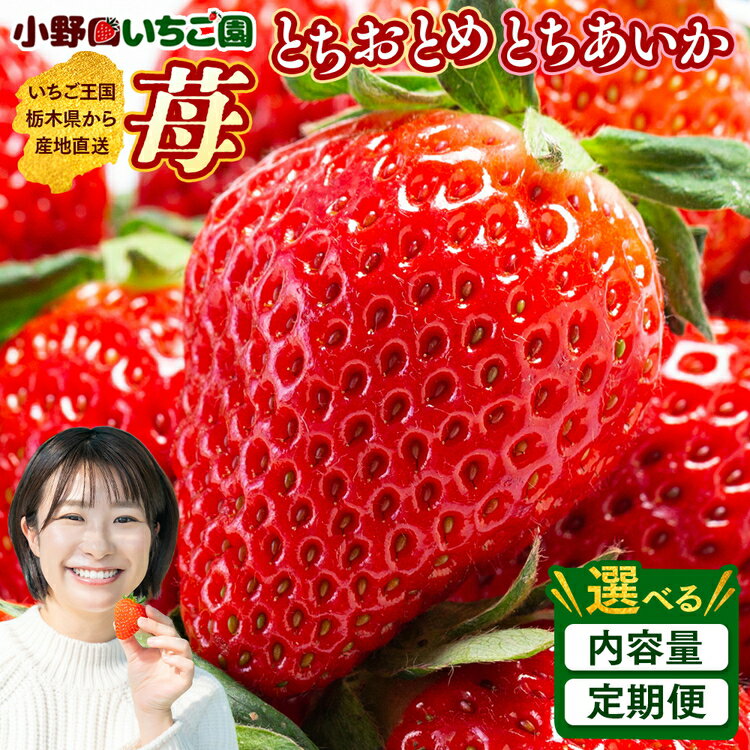 【ふるさと納税】【選べる内容量・定期便】いちご とちあいか とちおとめ 栃木県産 750g×1P / 300g以上×2P | 食べ比べ 完熟 苺 いちご イチゴ とちあいか とちおとめ 食べ比べ 果物 フルーツ 秀品 贈答 栃木県 壬生町 産地直送 ※2026年11月～発送